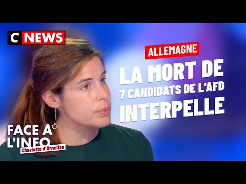 Allemagne : la mort de 7 candidats de l’AfD interpelle