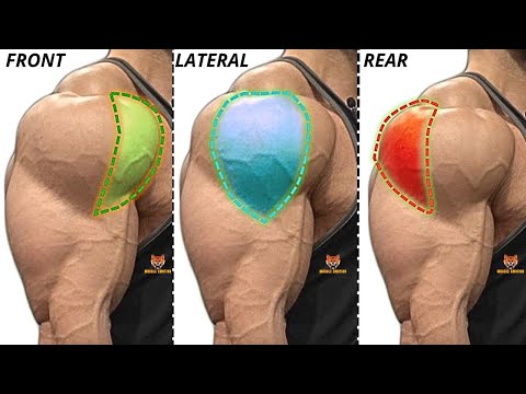 TOP 4 REAR DELTOID / LATERAL DELTOID / FRONT DELTOID EXERCISES AT GYM