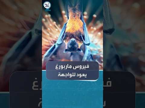 فيروس ماربورغ القاتل يعود للواجهة بعد تسجيل إصابة 9 أشخاص في إثيوبيا