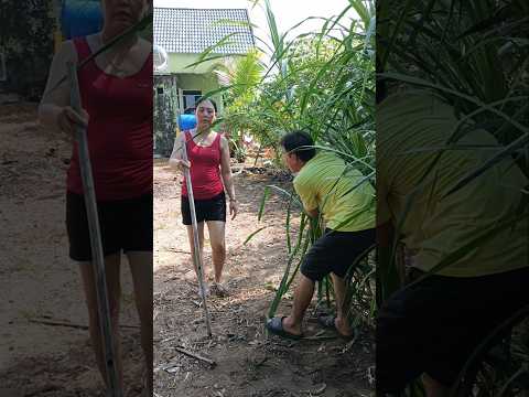 Cuộc sống hàng ngày #funny #shoyts 😂😅🥰