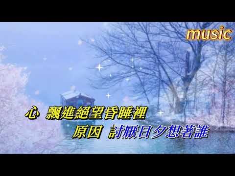 夢裡的聲音 張學友KTV 伴奏 no vocal 無人聲 music 純音樂 karaoke 卡拉OK 伴唱夢里的聲音 張學友