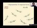 Dispersion Forces and Molecular Polarity