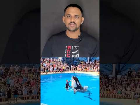 PART-1 STORY DOLPHIN ATTACK ON HER OWN TRAINER JESSICA😱SHOCKING VIDEO ATTACK #dolphinattack