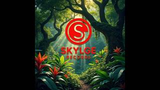 Skylge Records Brandaris, promo tbv KofferBakMarkt Oosterend 31 mei 2026