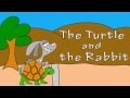 The Tortoise and the Hare Race