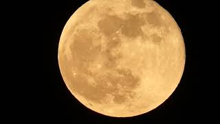 MOON GOING UP IN THE EASTERN SKY -  UNITED STATES   20211119