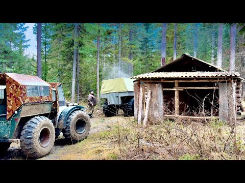 Сибирь. Промысловые будни в тайге. Первая проверка путиков в этом сезоне.
