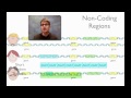 DNA Fingerprinting Techniques and Ethics