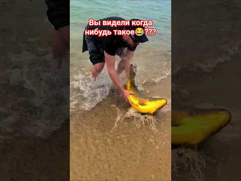 Поймал руками сазана на 20 кг!!! Вот это удача!!! #рыбалка #клубрыбаков #fishing #carpfishing#shorts