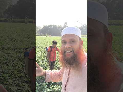 বাবার বোঝা সন্তানের কাঁধে #farming #কষ্টের #সন্তান #কাঁদে #বুঝা