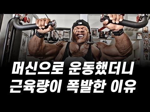 '머신 운동'이 근육량을 빠르게 늘려주는 치트키가 된 이유