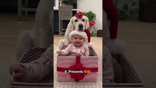 Our Baby and Dog's Christmas Outfits!