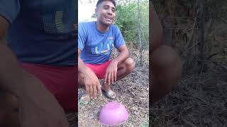 EL PAJARITO QUE ATRAPÓ EL COMPADRE JAJAJA 😂😂