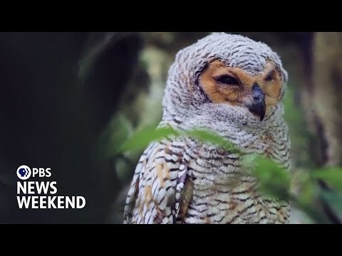 YouTube video thumbnail: A Look at Some of 2025’s new Additions to Unesco World Heritage List