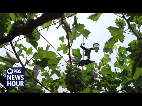 YouTube video thumbnail: Can AI Help Solve India’s Food and Water Insecurity?