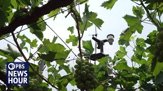 YouTube video thumbnail: Can AI Help Solve India’s Food and Water Insecurity?