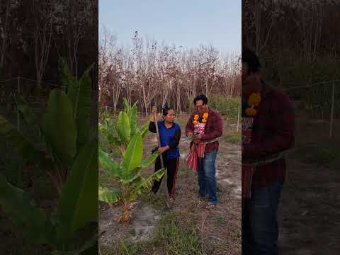 คักอะหลี #ตลกฮาฮา #comedy #funny