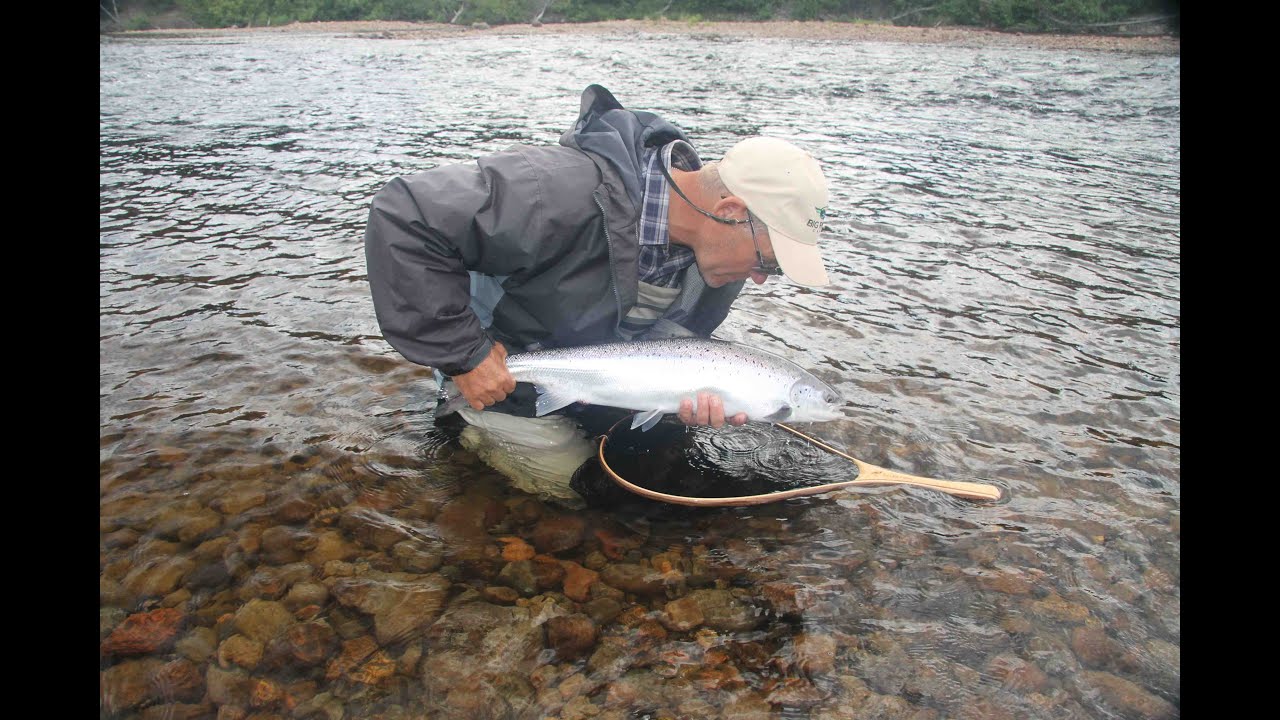 Labrador Atlantic Salmon - Big River Lodge - The New Fly Fisher