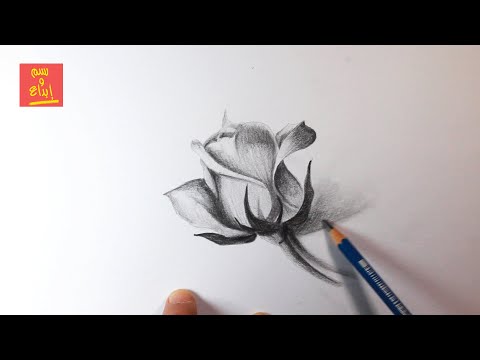 How to  draw a flower step by step / learn to draw