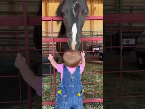 Best friends 🥰#horse #kids #horselover #cute #horsevideo