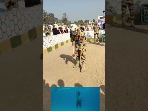 تحيا مصر 🇪🇬الصاعقة المصرية#تحيا_مصر #الجيش_المصري #مصر #السعودية #الصاعقة_المصرية #اكسبلور_explore