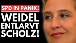 🚨EILMELDUNG! WEIDEL ENTLARVT SCHOLZ EKLAT! SPD RAUSCHT IN DEN KELLER!🚨