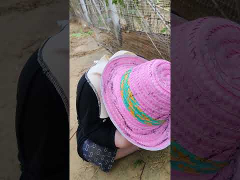 his sister is sick 😭 #love #cute #nature #friendship #friends