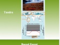 Mountain Biomes and Climate Effects