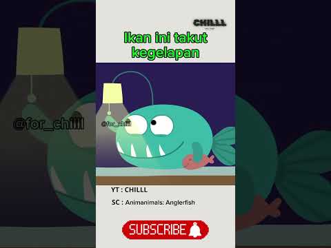 ikan yang takut kegelapan ⁉️#shorts #trending #CHILLL