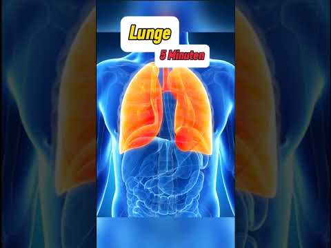 Wie lange du ohne diese Organe überleben könntest Part 14 | New Facts