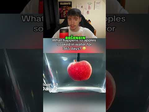 İnsanların Asla Görmek İstemeyeceği Şeyler !!