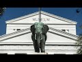 Museum Nasional: Collections and Features