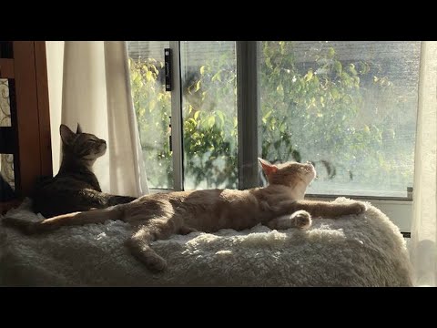 𝐏𝐥𝐚𝐲𝐥𝐢𝐬𝐭 오늘 날씨도 도영 같았으면 | 감미로운 도영의 감성이 담긴 노래 전곡 모음