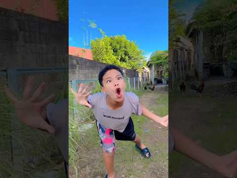 Nyanyi lagu anomali #anomali #funny #comedy