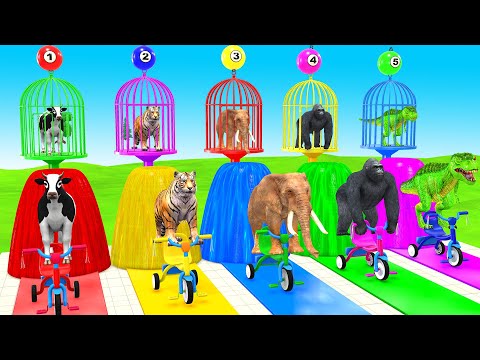Choose the Right Fountain With Cow Elephant Gorilla Tiger Dinosaur Escape Room Challenge Animal Game