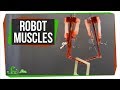 Biohybrid Robotics Concepts and Challenges