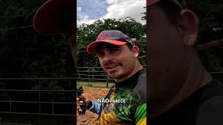 Adivinhe os Bois: Desafio e Dicas Secretas! #shorts