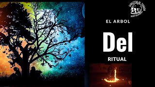 EL ÁRBOL DEL RITUAL / CATEMACO VER