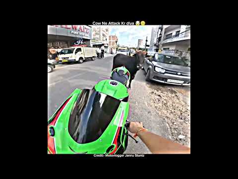 Cow Ne Attack kar Diya 😤🥺motovlog #viral #ytshorts #chapri #crash #reels #vlog