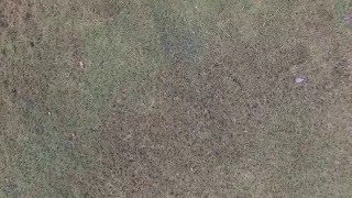 DJI 0914
