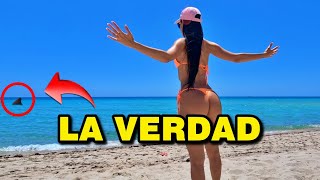 POR QUÉ debes tener CUIDADO en MIAMI BEACH