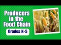 Food Chain and Ecosystem Concepts