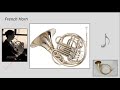 Brass Instruments: Key Differences and Characteristics