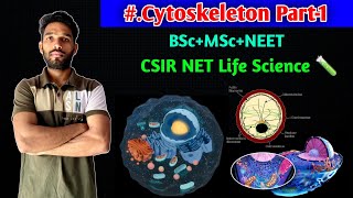Cytoskeleton Part-1 || Microtubules || Structure and Function || BSc || MSc || CSIR NET || PGT Exam