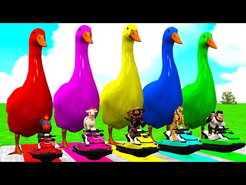 Long Slide Game With Elephant Gorilla Buffalo Hippopotamus Tiger 3d Animal Game Funny 3d Animals