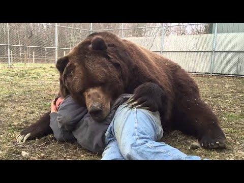 ANIMALS REUNITED WITH OWNERS AFTER YEARS
