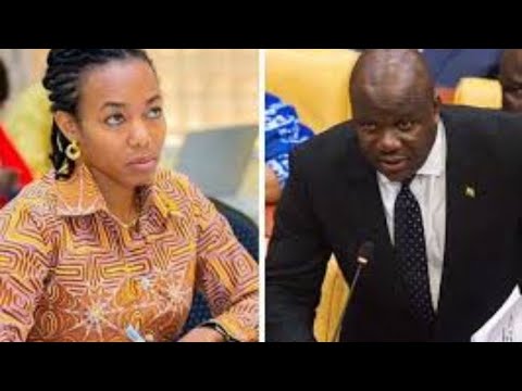 See how Ghanaians are DEALING with Abu Jinapor for allegedly calling Dr Zanetor daughter of a Murder