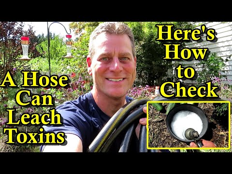 How Garden Hoses Leach Toxic Chemicals & the Easy Fix: Foaming Water & A Minty Smell are a Sign!