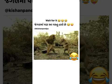 MARE KAPDA MATCHING KARVA CHE || KAUSHIK BHARWAD || મારે કપડા મેચિંગ કરવા છે || GMD AWARD SHOW 2024