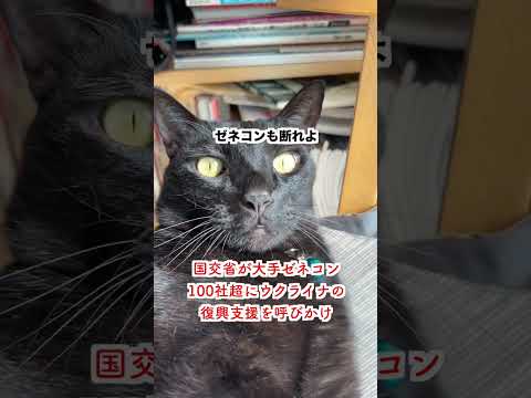 【批判殺到】国交省が大手ゼネコン100社超にウクライナ復興支援を呼びかけ